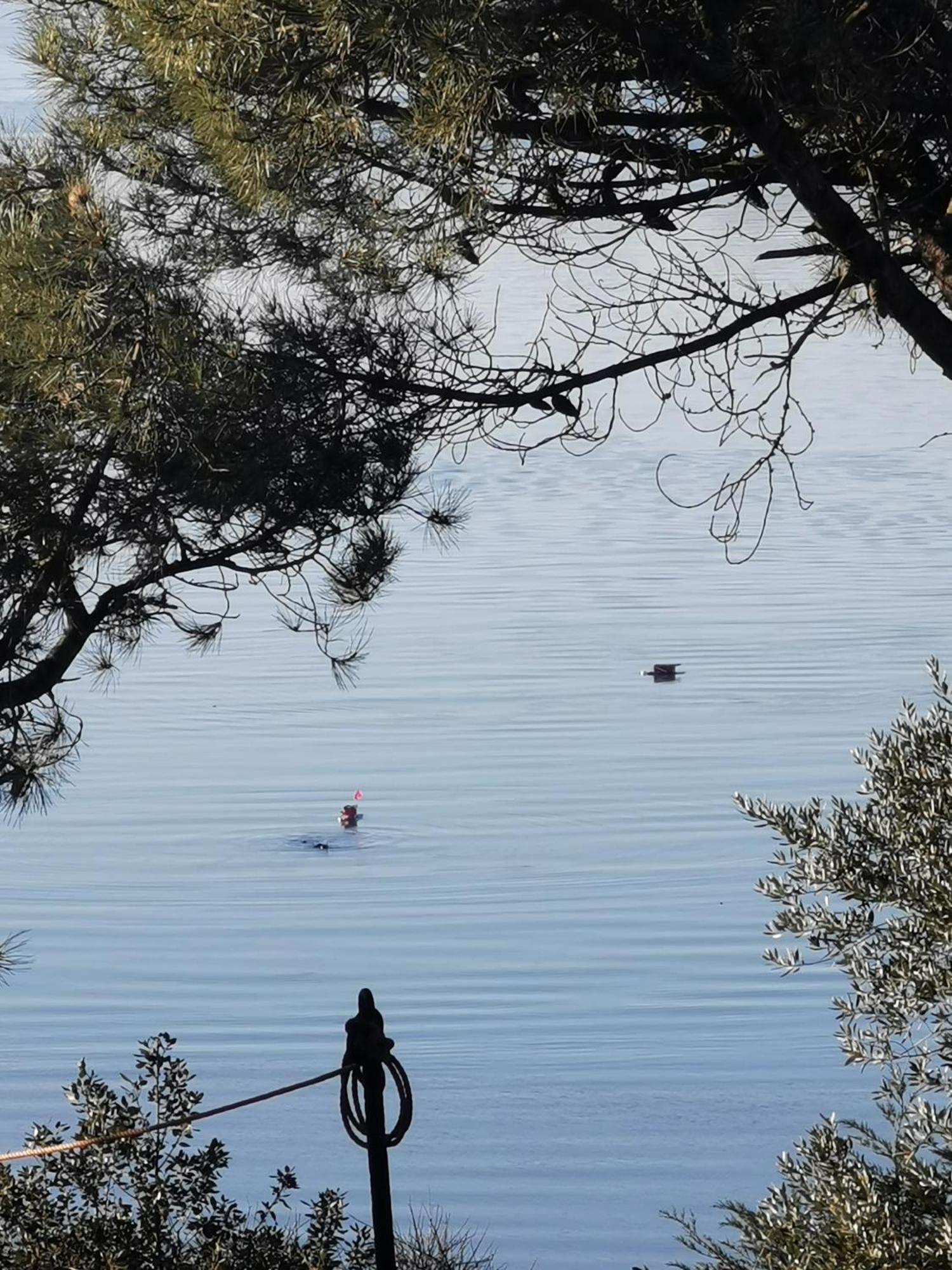 Les Pieds Dans L'Eau Lejlighed Saint-Malo Eksteriør billede